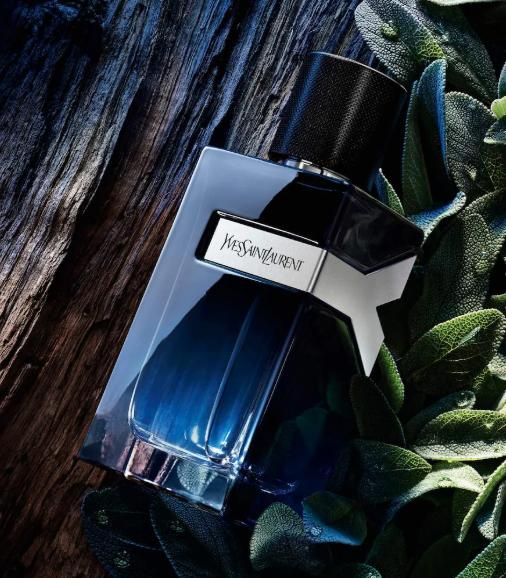 Y by Yves Saint Laurent